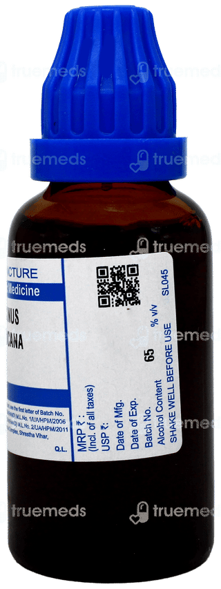 Sbl Fraxinus Americana Q Mother Tincture 30Ml